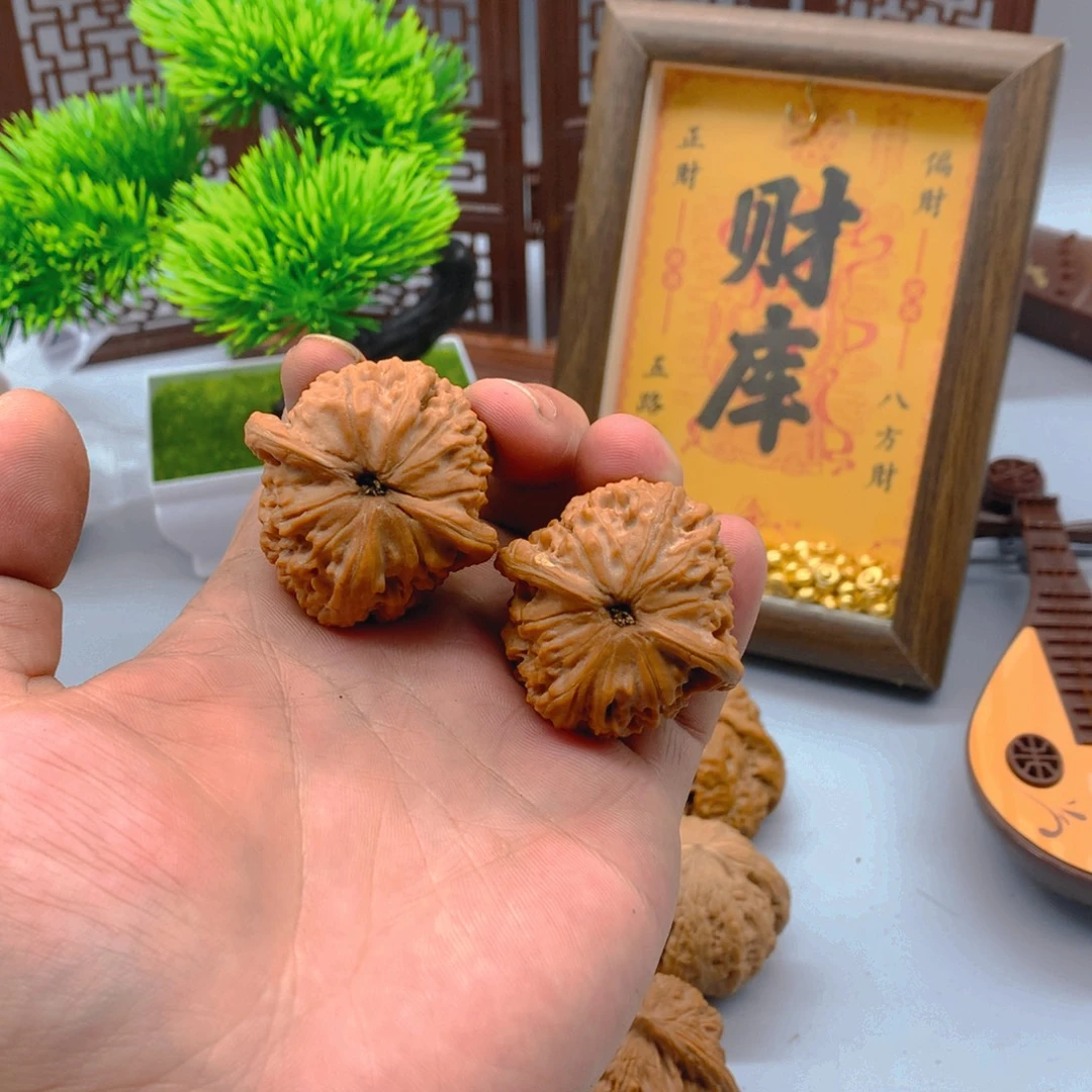 文玩核桃红狮子40尺
