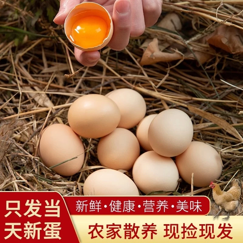 正宗农家特大号土鸡蛋新鲜可生食绿壳农村散养土鸡蛋