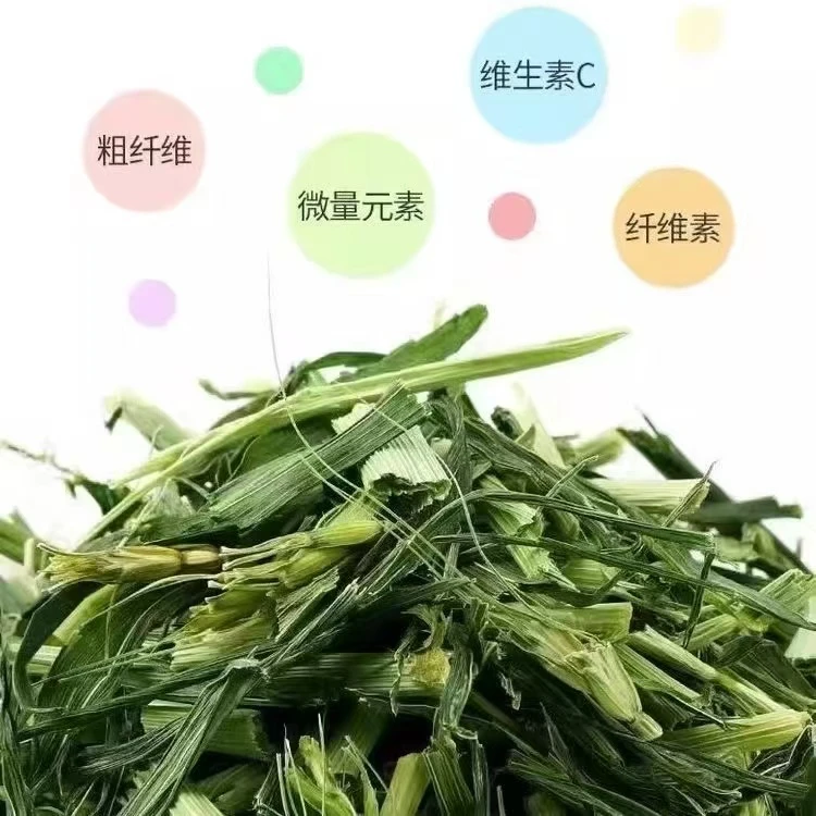 烘干大麦草绿色清香含粗纤维适合 侏儒兔 垂耳兔食用的干草