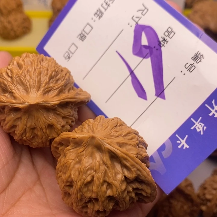 文玩核桃把件壹**?61号京公子