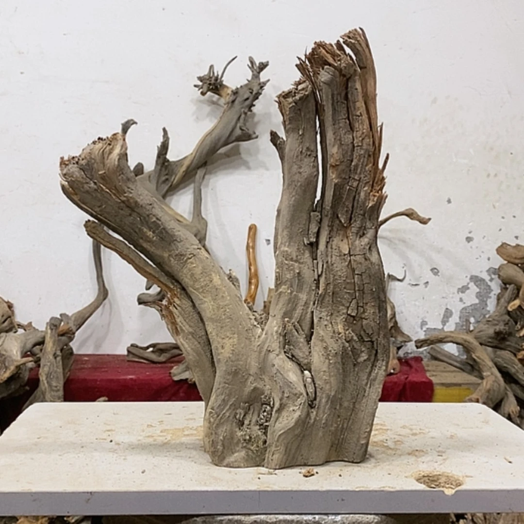 【闪购商品】柏木展****）我们都是好孩子