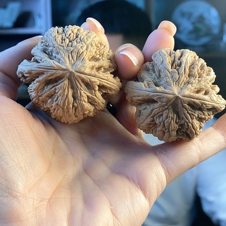 文玩核桃把件46粗筋69.8