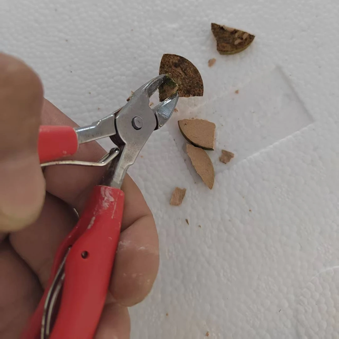 珊瑚钳基座钳抗腐蚀海缸珊瑚专用