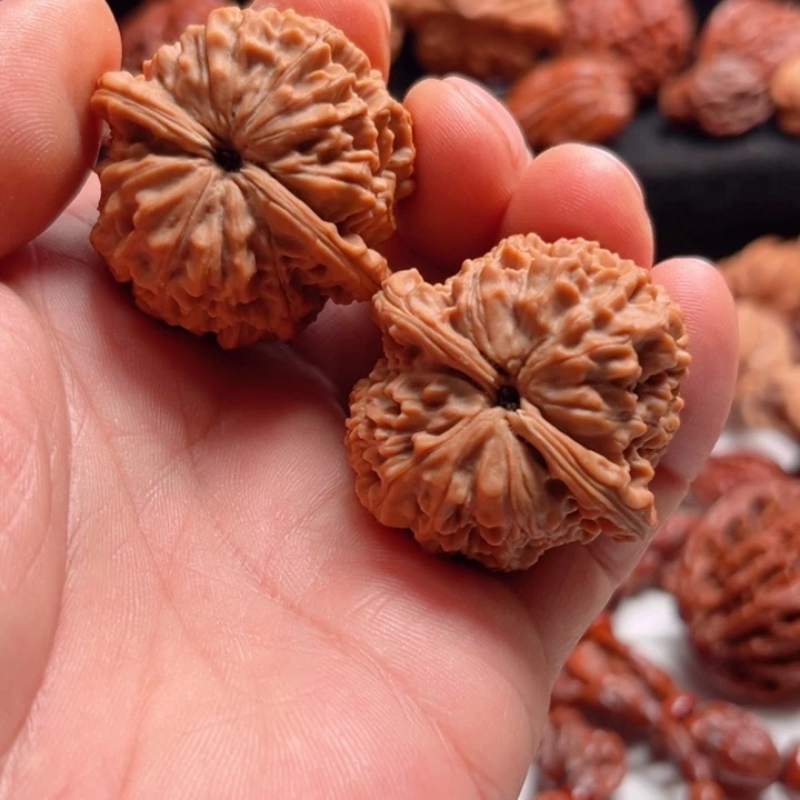 志***天文玩核桃把件野生晋公子树头