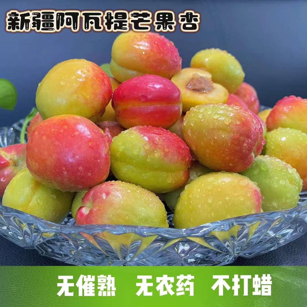 {新疆直发 顺丰空运}正宗胡安娜芒果杏大杏酸甜孕妇应季新鲜水果