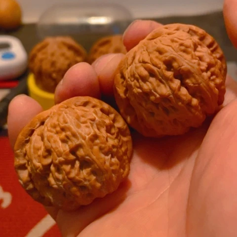 把件文玩核桃白狮子