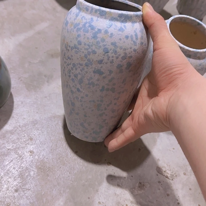 瓷片满天星20厘米一个