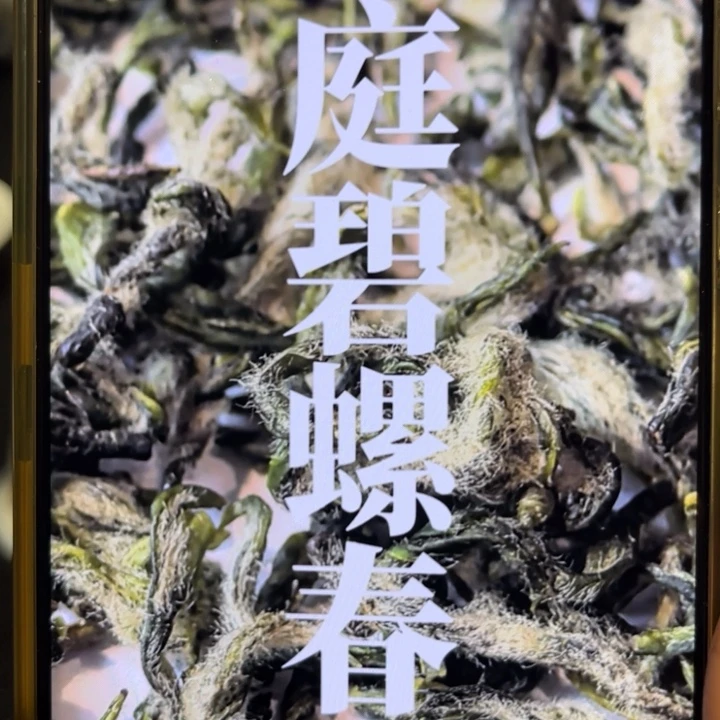茶壶紫砂江东草堂洞庭碧螺春