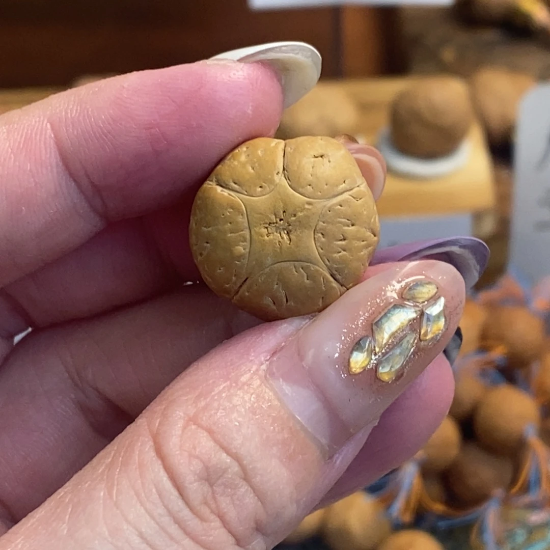 吊坠凤眼菩提19.1五星单颗厚14.1