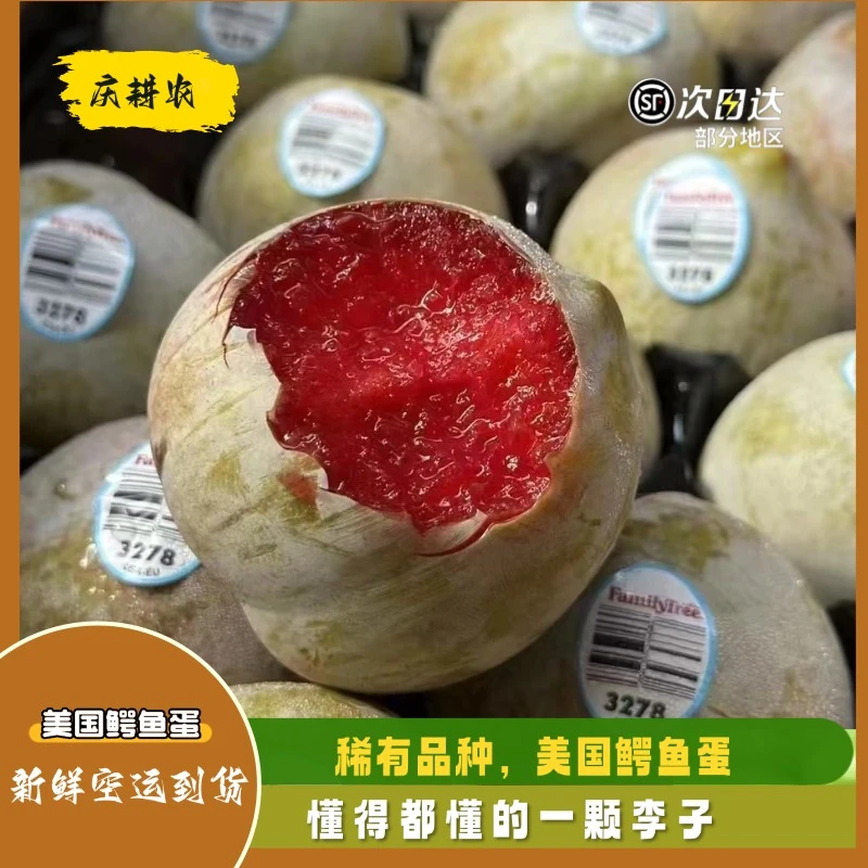 美国空运鳄鱼蛋纯甜孕妇水果蜥蜴蛋顺丰包邮