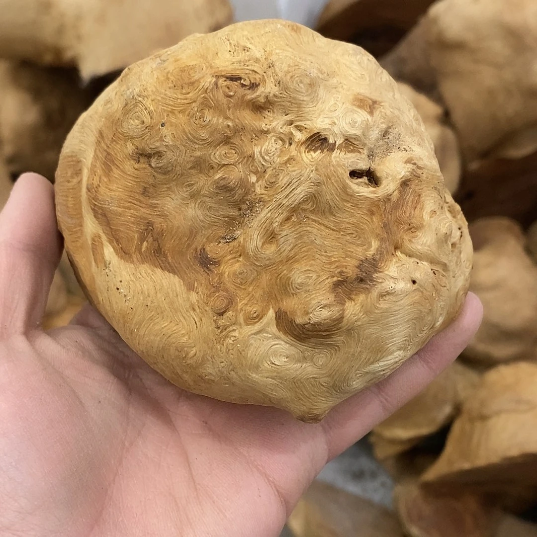 荔枝木三*荔枝木原料