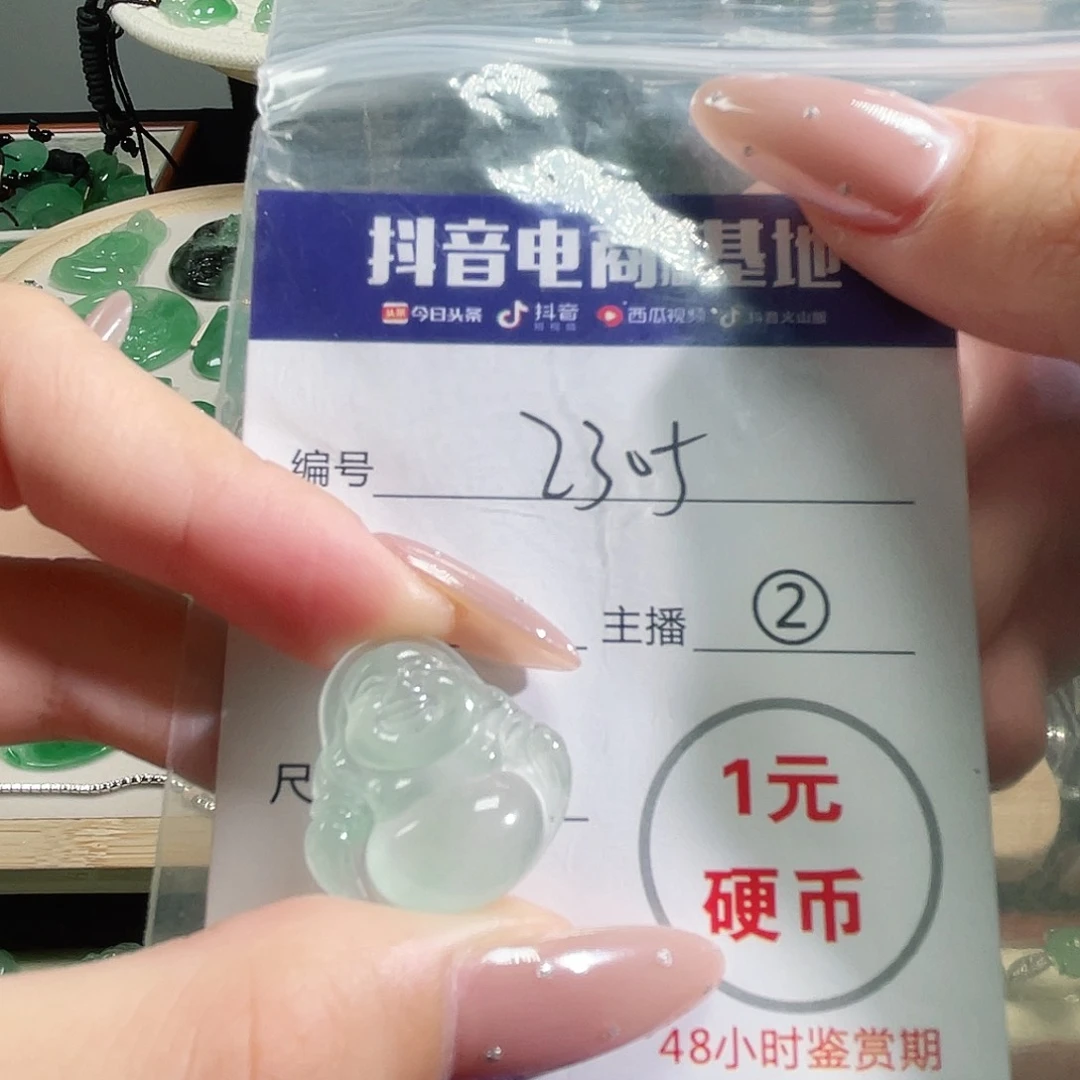 石英质玉未镶嵌颈饰