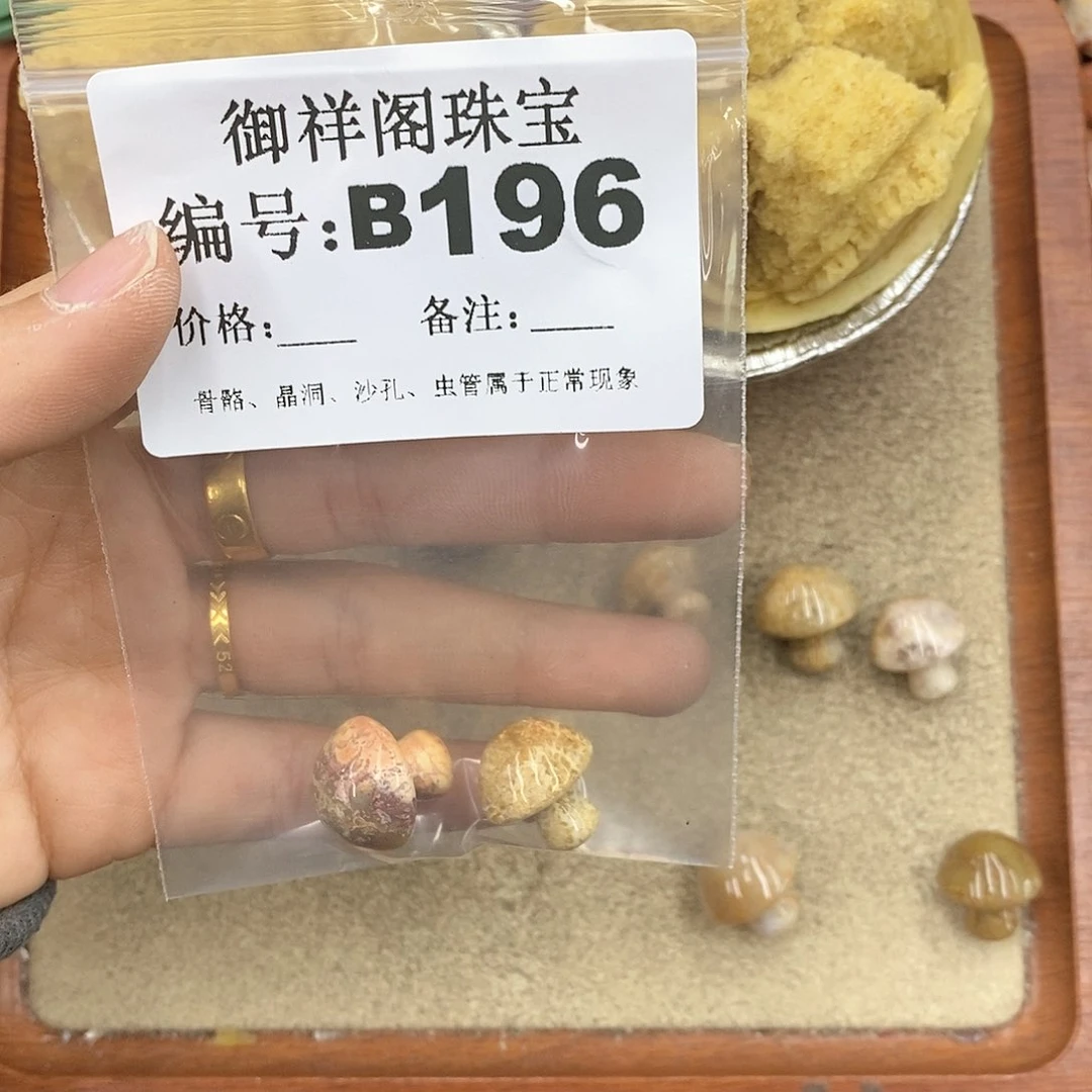 硅化珊瑚（珊瑚玉）颈饰未镶嵌❄️