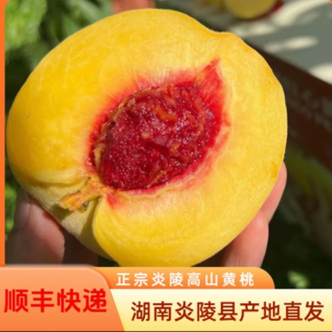 【小邱优选】正宗炎陵黄桃高海拔湖南株洲红心黄桃