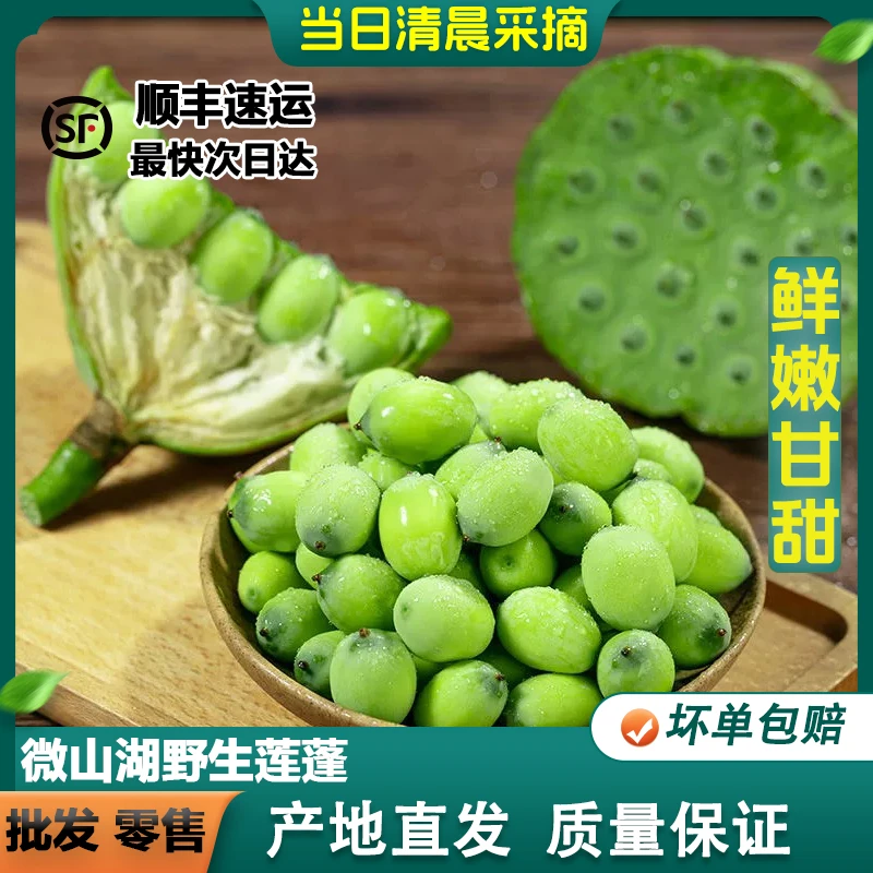 A新鲜现摘嫩莲蓬可生吃清甜可口当季时令水果