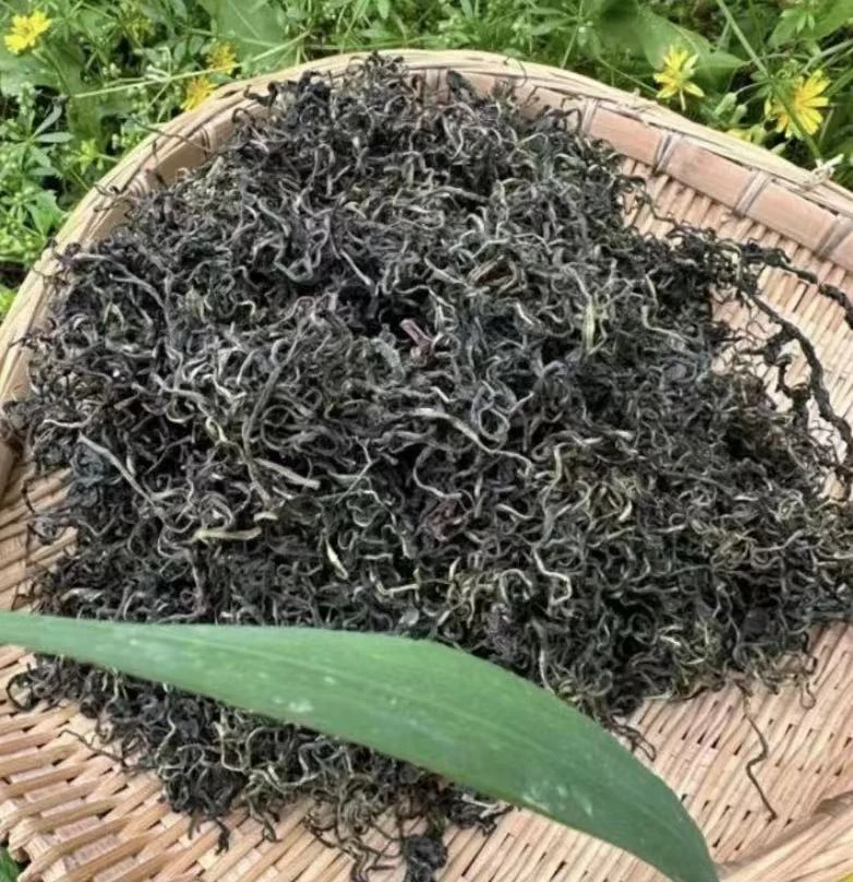 【主播推荐】山货 蒲公英 拍一发二 1