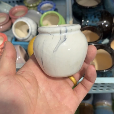 ［所有订单凑满15明天发］4×6