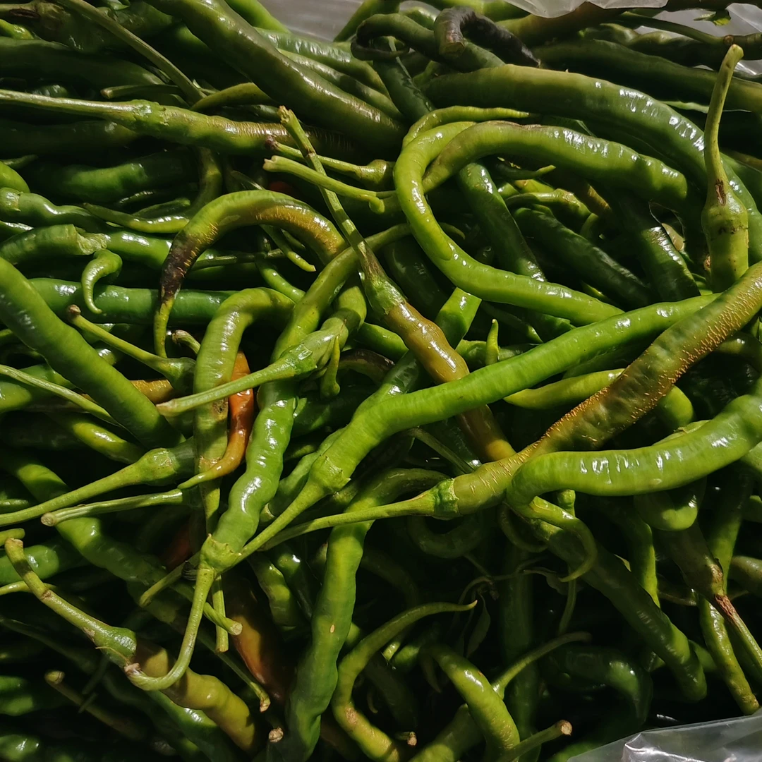（秋辣椒）湘西本地農家自種