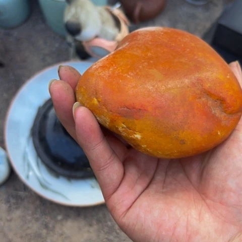 杂色豆（科檀/科特迪瓦檀木）随*