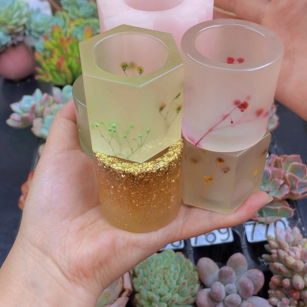 无花朵无土栽培多肉植物