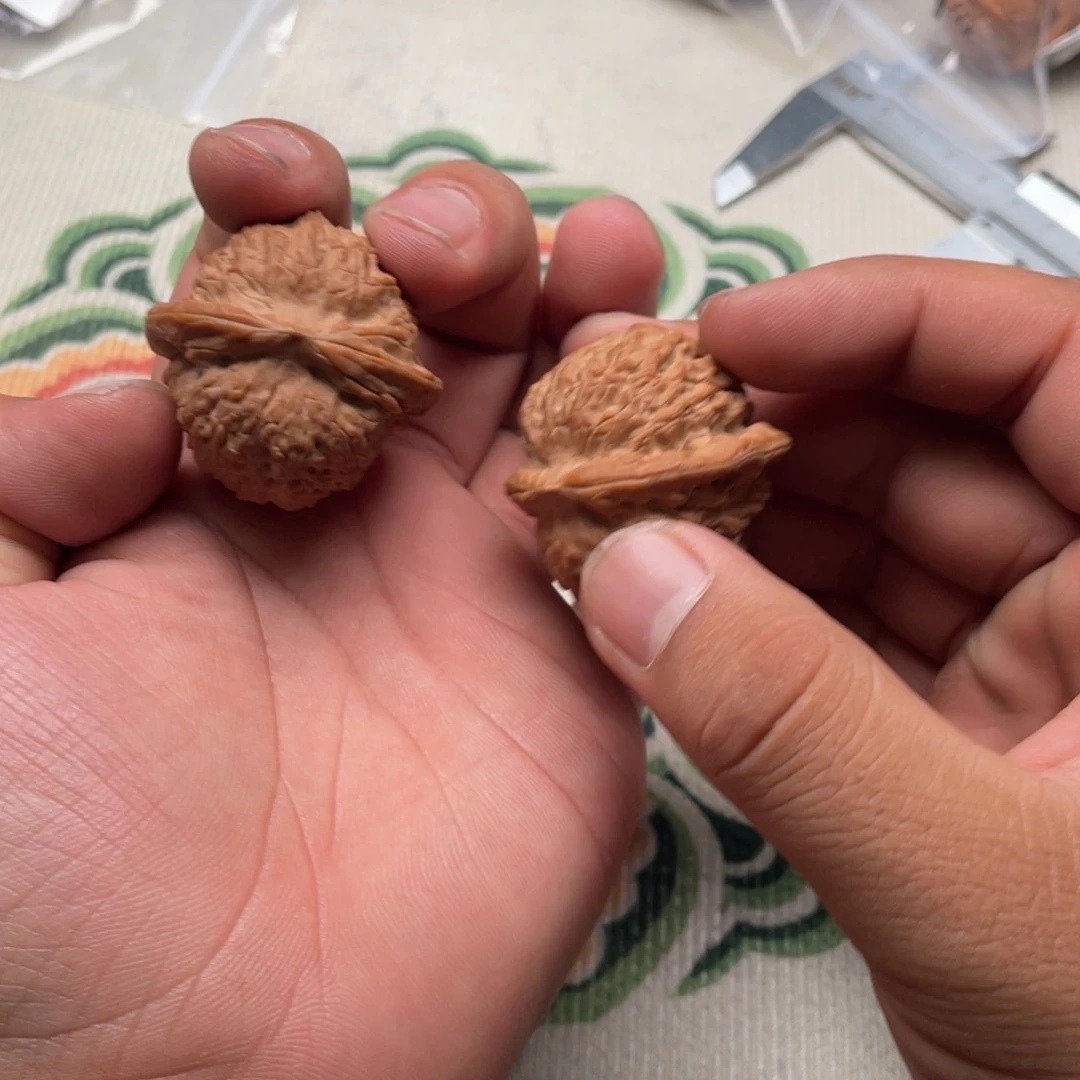 雨***伞血麒麟全品无修39尺