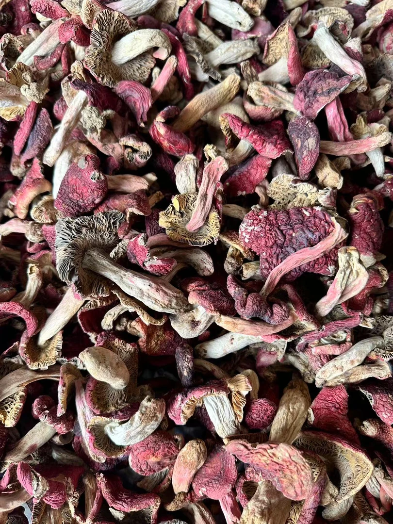 【云南三角红菇丑菇】云南野生菌红菇野生红菇  250g