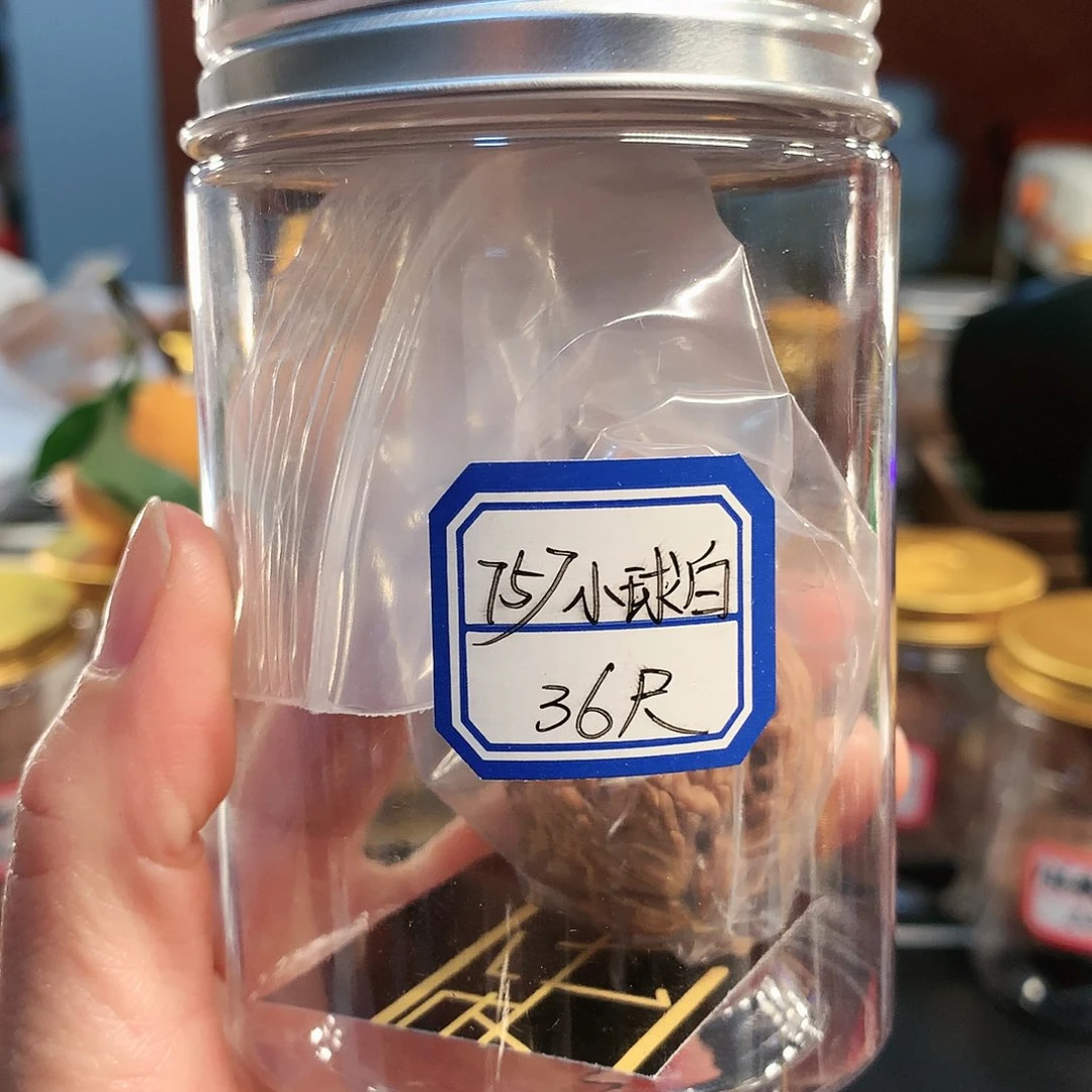 【闪购商品】吊坠文玩核桃球白36尺