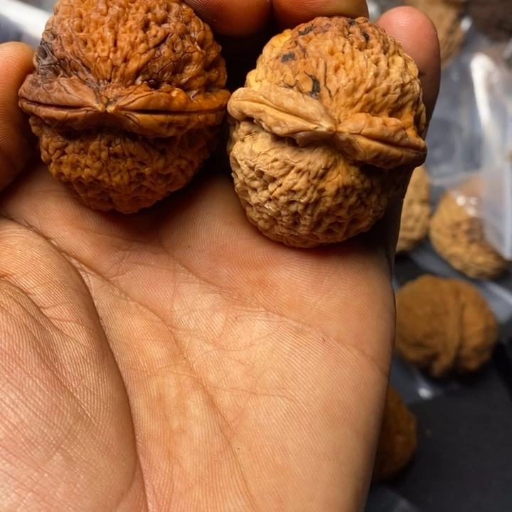 文玩核桃把件淮*✘正文铁核桃71号
