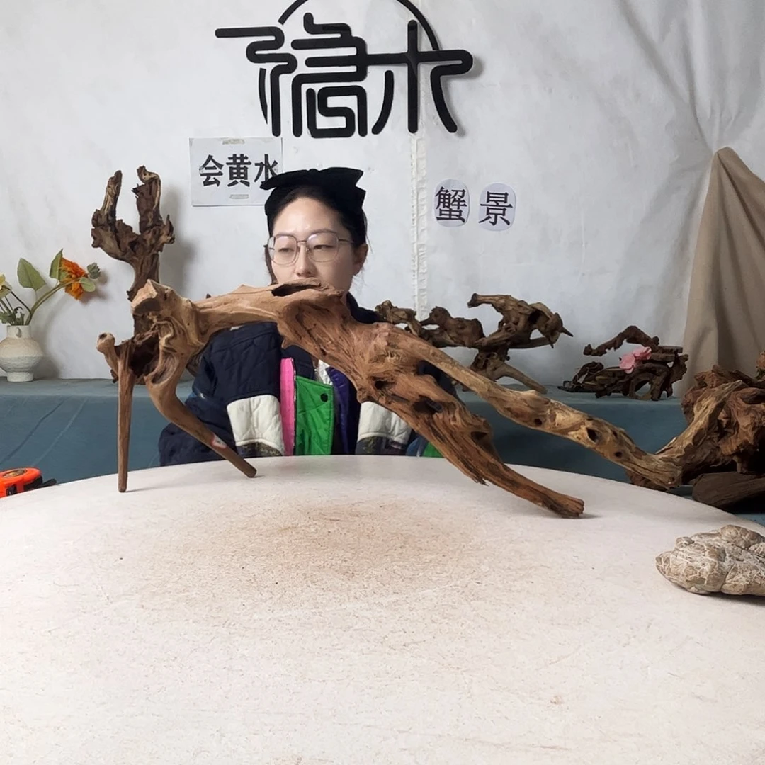 沉木造景爬宠造景