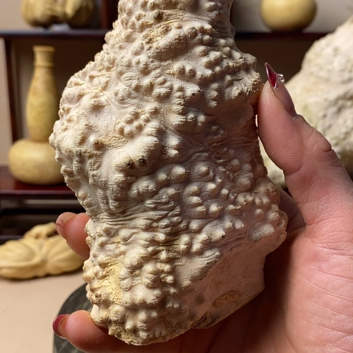 香榧木初*?黄杨木手把件