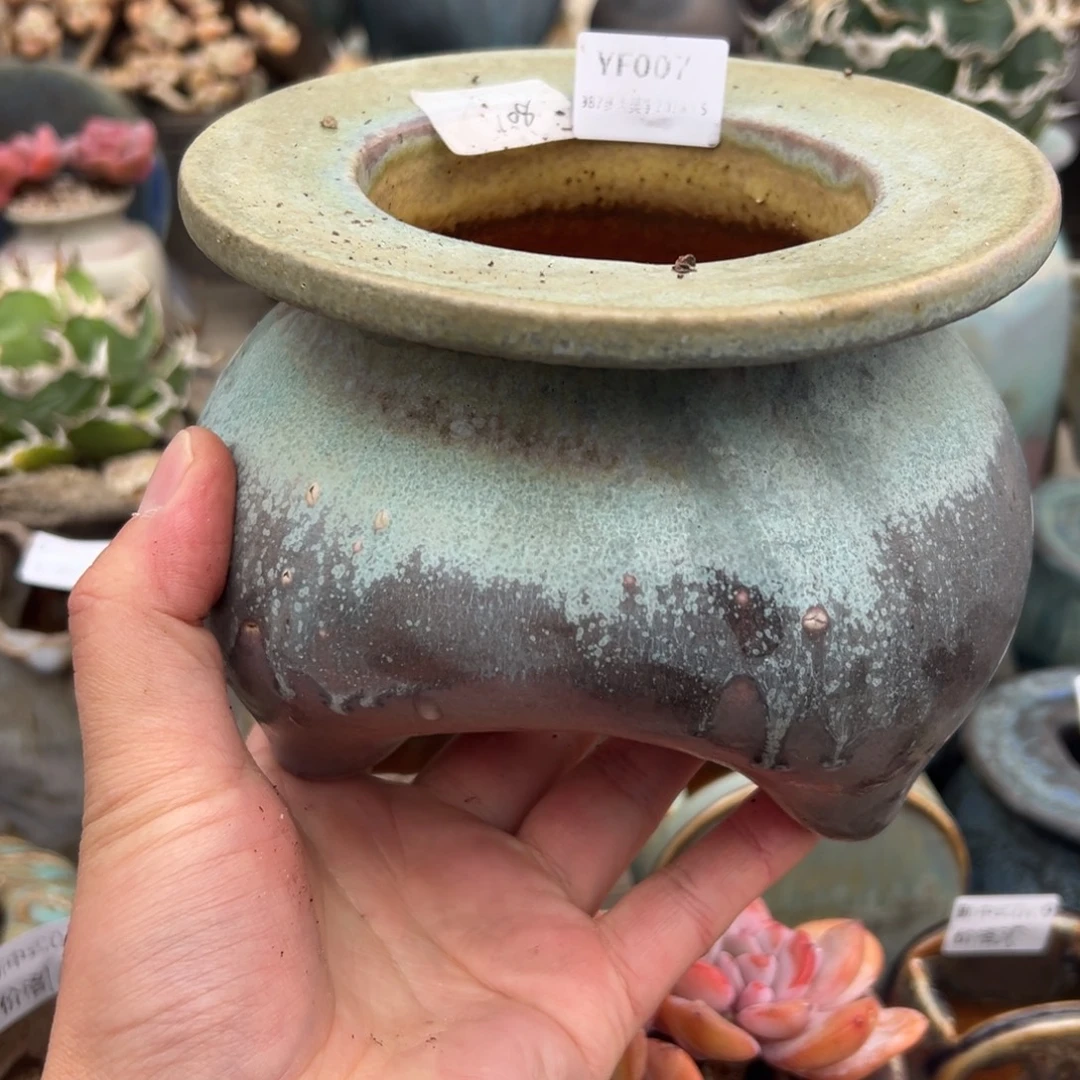 一***。1987多肉花盆 YF007