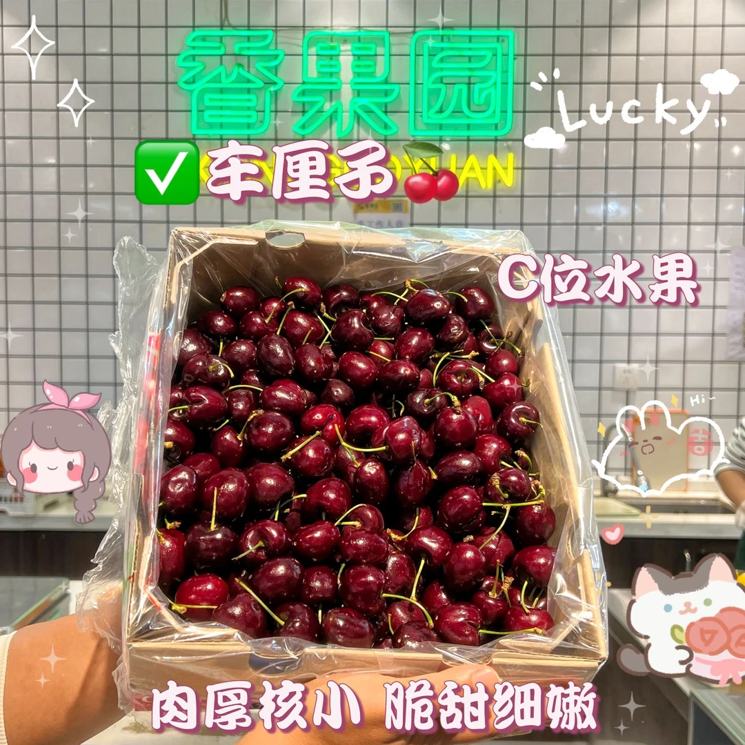 【”智利”车厘子】智利车厘子XL-J  （瑞吉娜品种）  1斤2斤 尝鲜礼