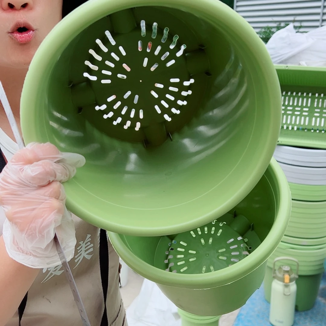 四季盆4#果绿色8个无托