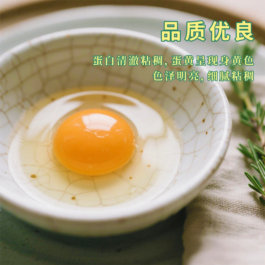 杂粮鸽子蛋 当天鲜蛋 顺丰包邮 破损包赔 鸽棚直发 孕妈妈营养