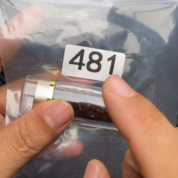 大果紫檀（缅甸花梨）