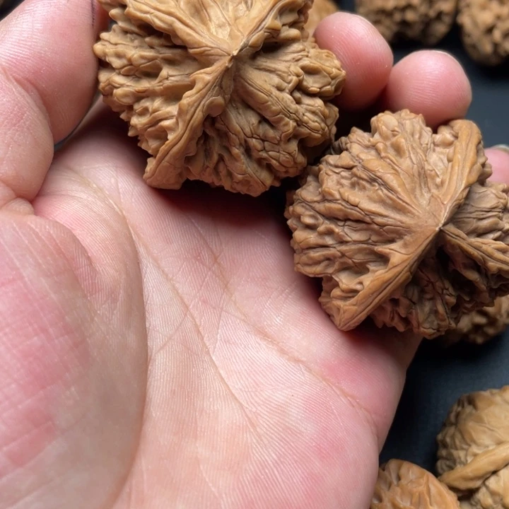 孙***生文玩核桃把件钉子