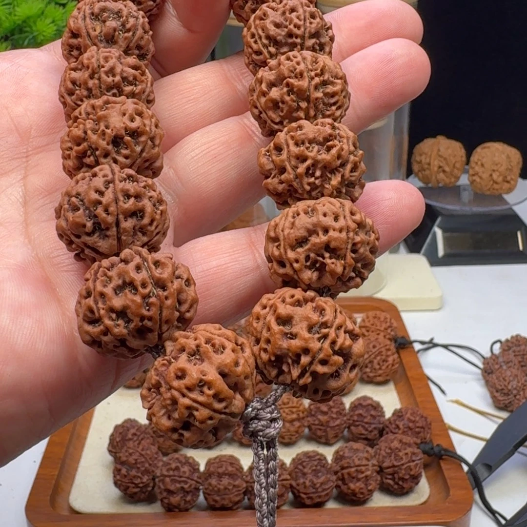 手串金刚菩提梅花双龙