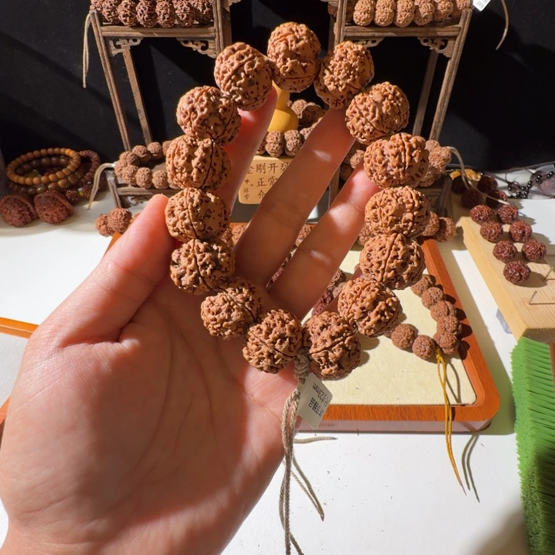 手串金刚菩提23尺寸原生态