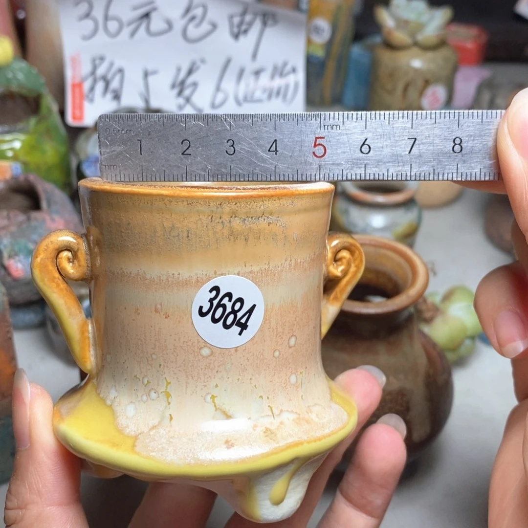 拍5送一个小礼物