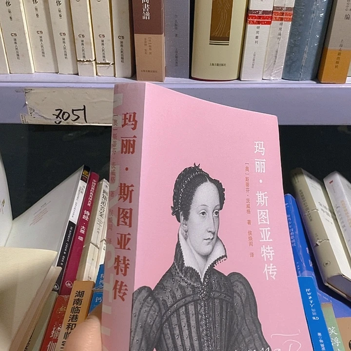 玛丽  斯图亚特……