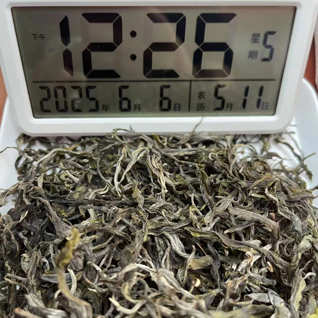 云南姑娘的茶  2025易武国有林 100克/散茶 云南普洱茶生茶