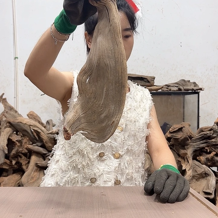 柏木致*我们的生活也