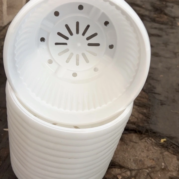 180白色聚宝盆口16公分12个