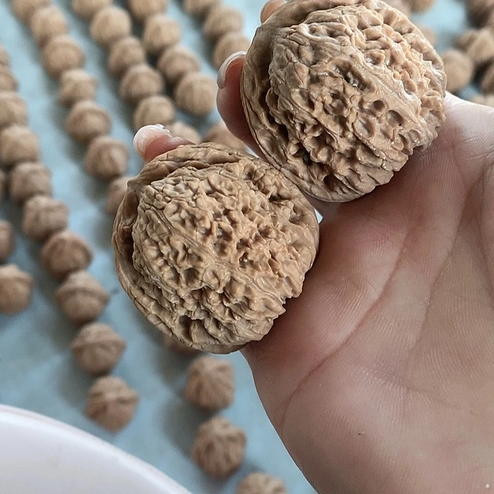 风**记43南疆石无修无修无修无修