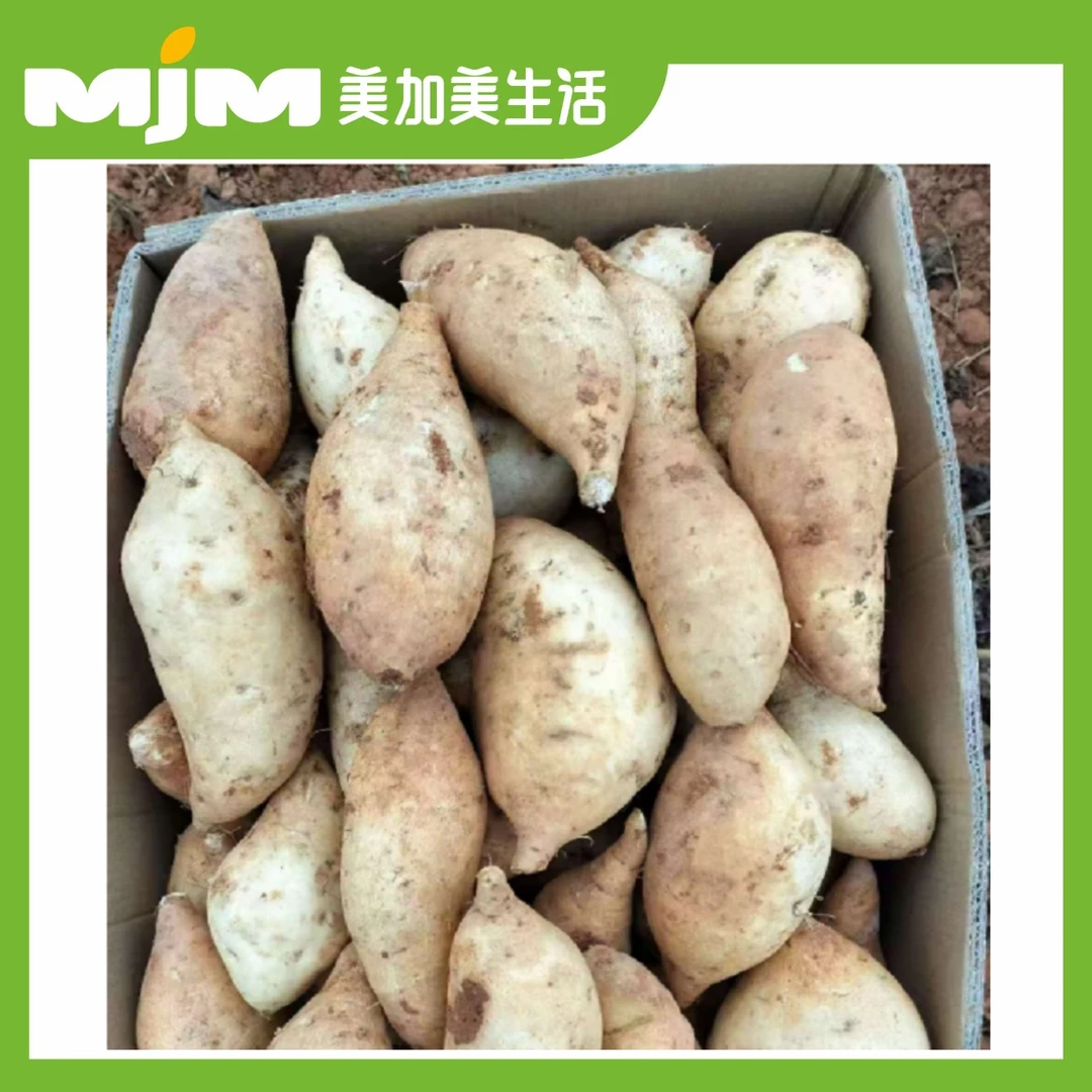 【3斤±50g/份】人参薯