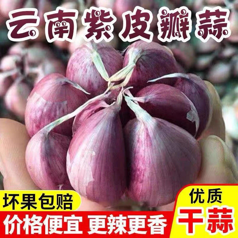 2025年云南正宗紫皮大蒜可做腊八蒜糖醋蒜蒜香浓郁