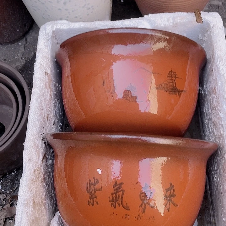 紫砂25/25紫气东来花哦花片