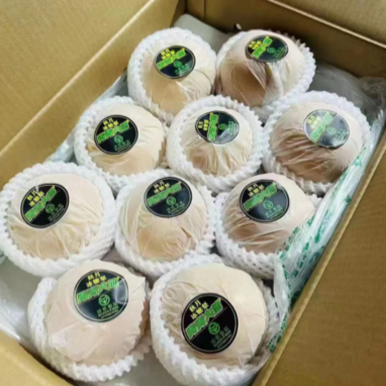 青青大地秋月梨 15元/斤 一个约1.2斤