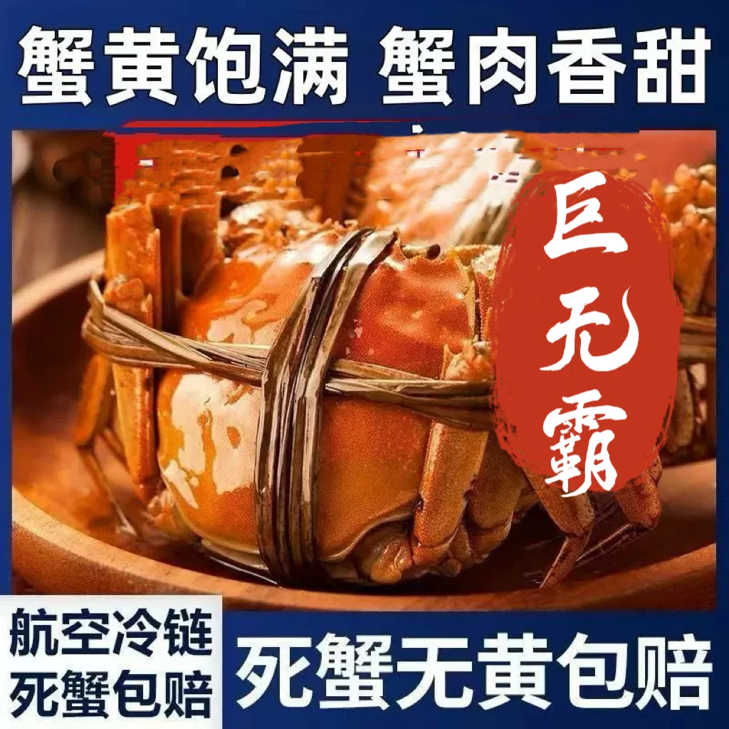 【精品特大蟹】大辽河母蟹3.2-2.7两规格8/10只绑绳礼盒装