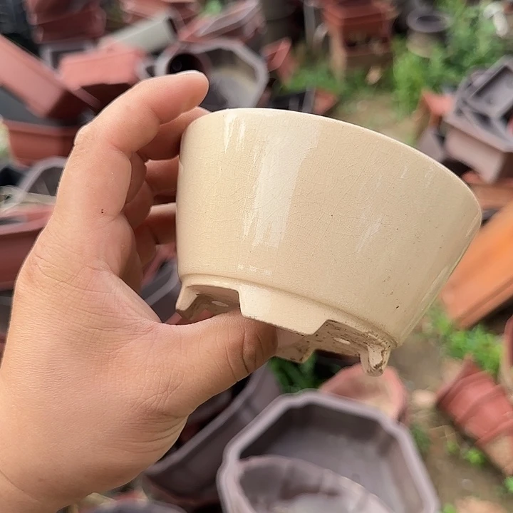 不去看书啊哈是真的想